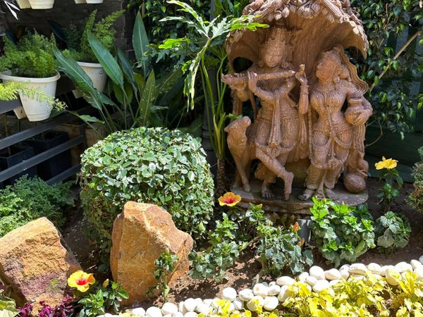 Magic Garden